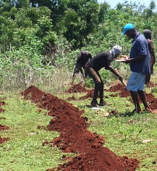 SWAP IN for agriculture